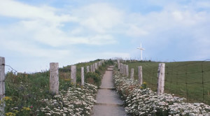 portfolio-very-large-3